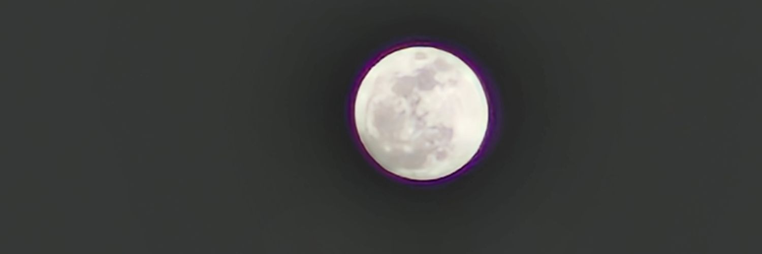 joaoximeness's profile banner image