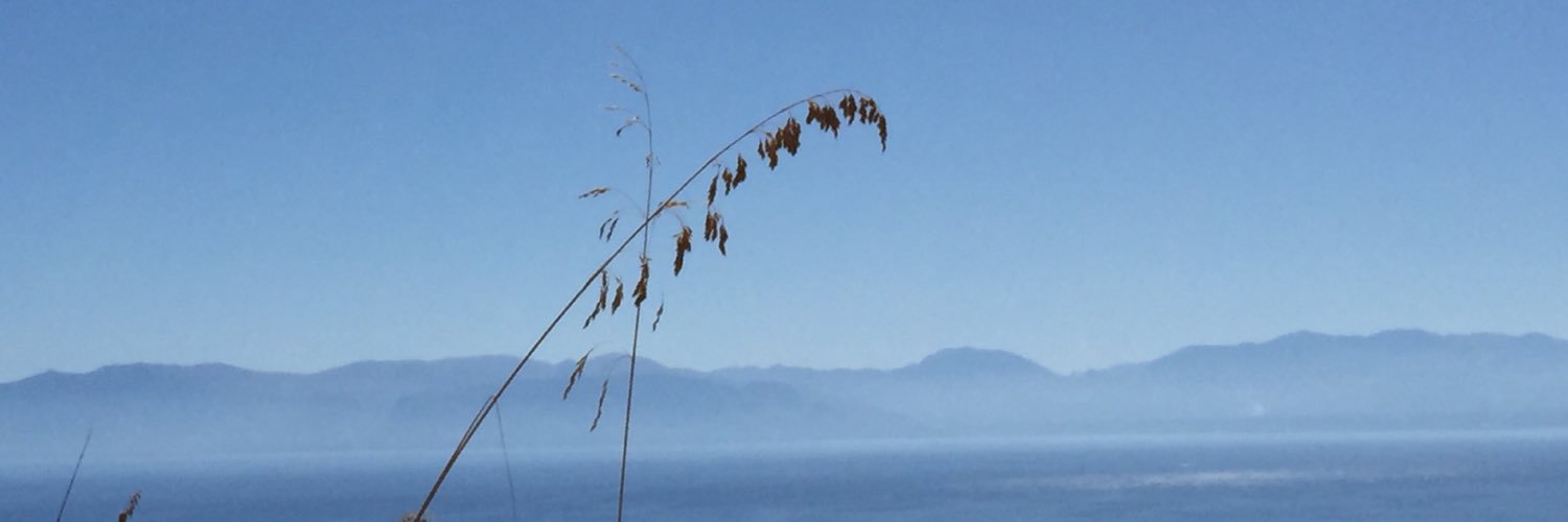 gcallegher's profile banner image