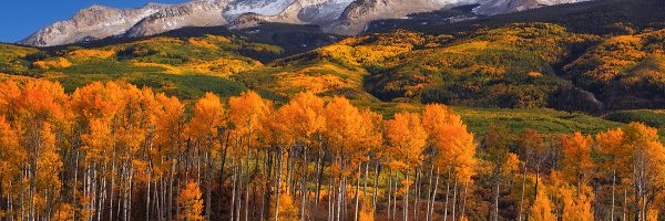 MMaryD777 Profile Banner