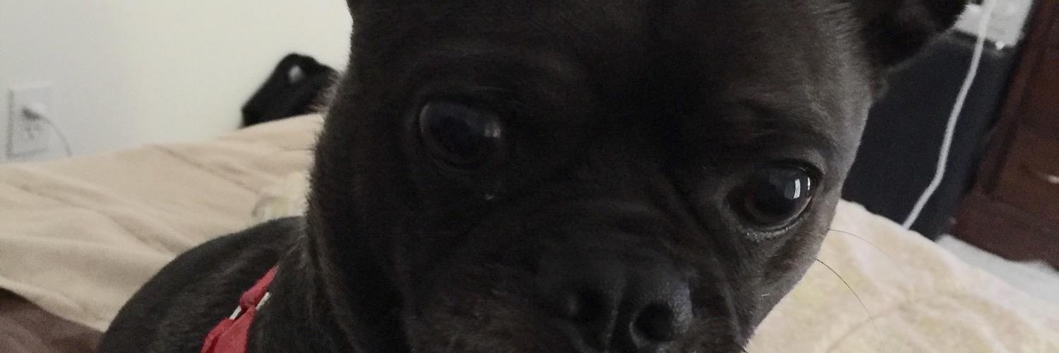 kckg's profile banner image