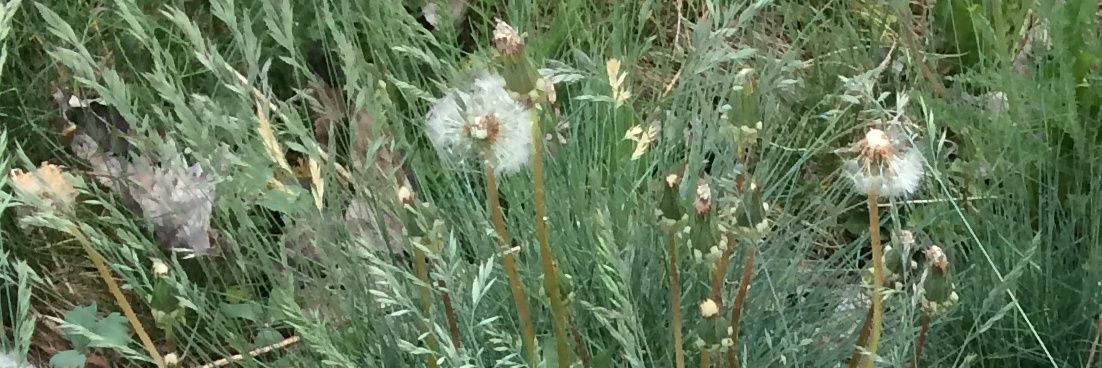 Alexandra933 🧡 banner