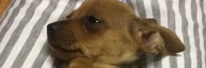 K4lysse_'s profile banner image