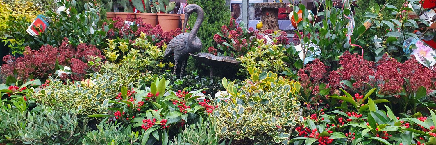 Thorpe Plant Centre banner