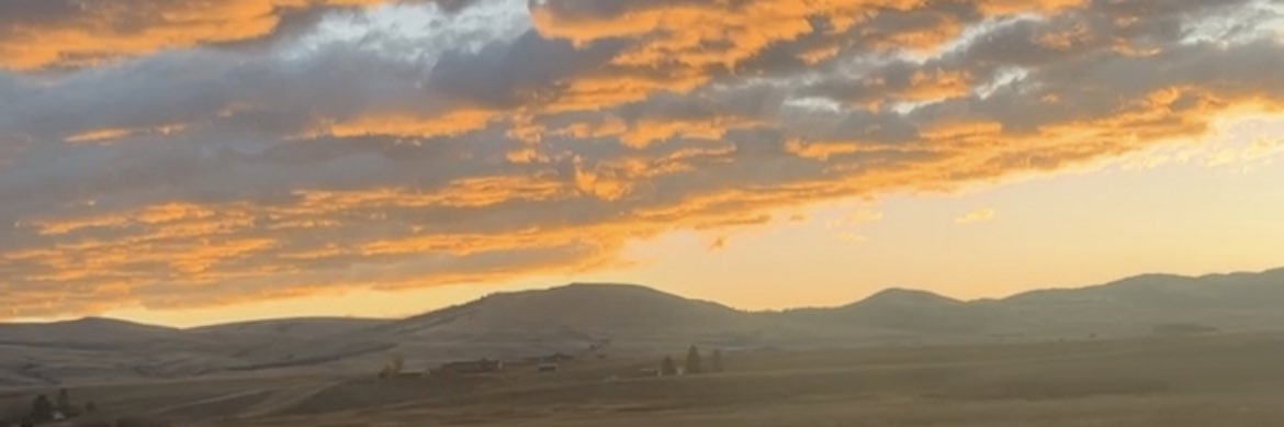 OgKaroshi's profile banner image