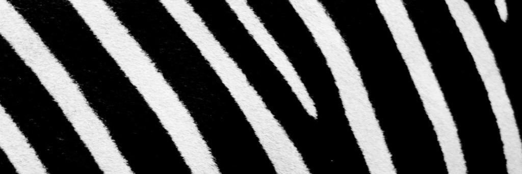 FiebackG's profile banner image