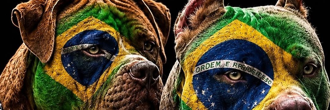 RPJPMC's profile banner image