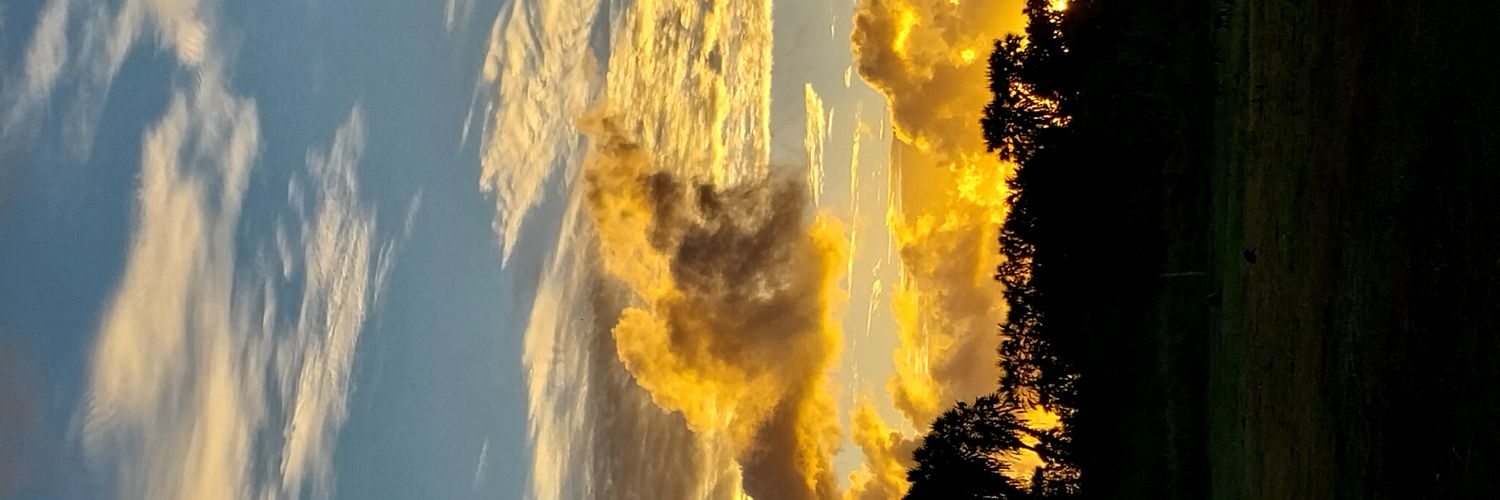 0godii's profile banner image