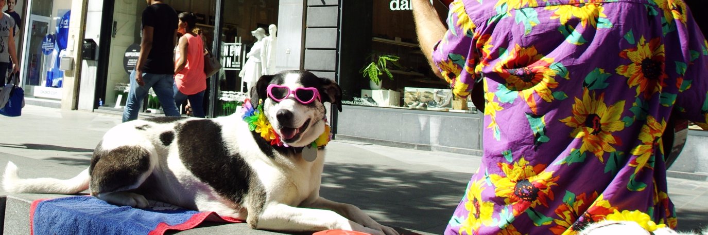 CityHappyning banner