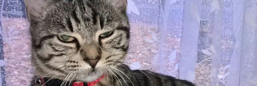 TimSmit19821396's profile banner image