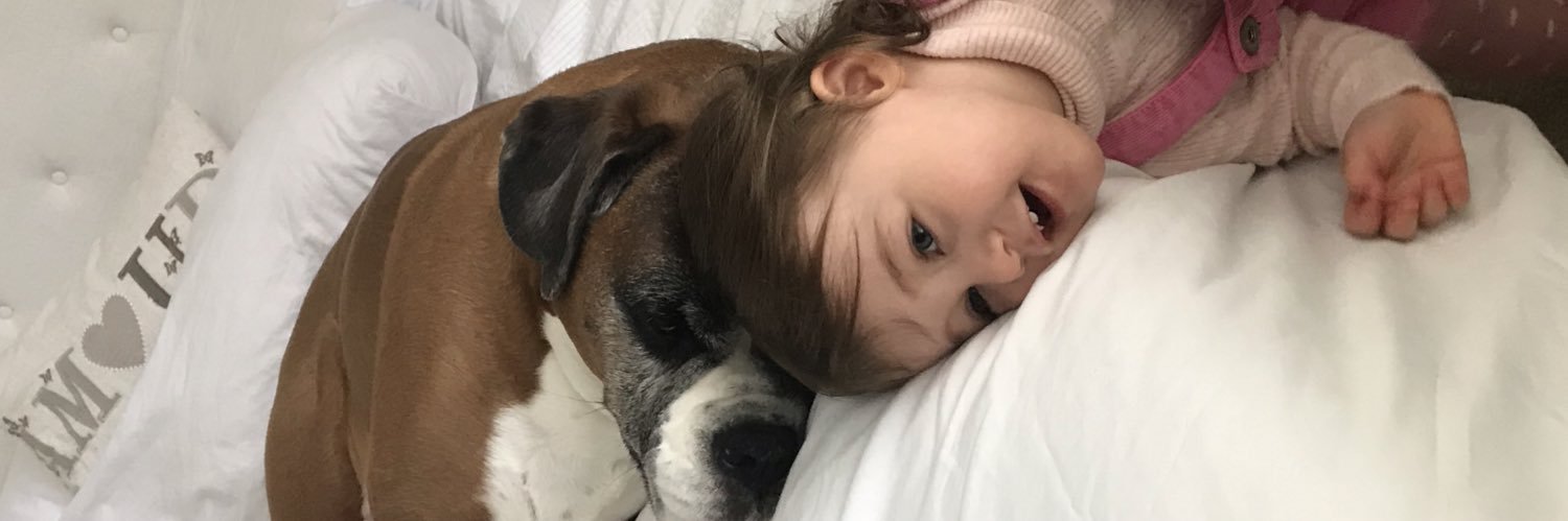 Shane Nicholson banner