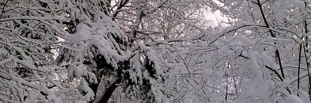a1vic's profile banner image