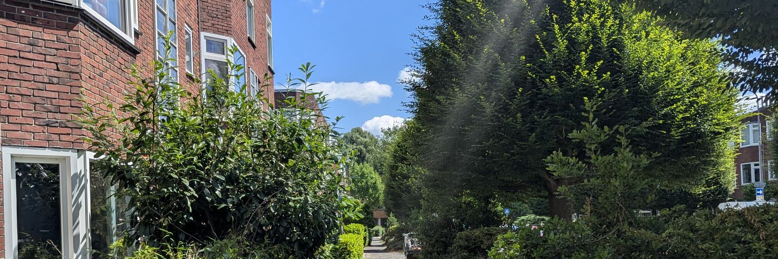 Ajulz_'s profile banner image