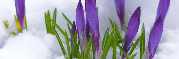 LizAxelrod's profile banner image