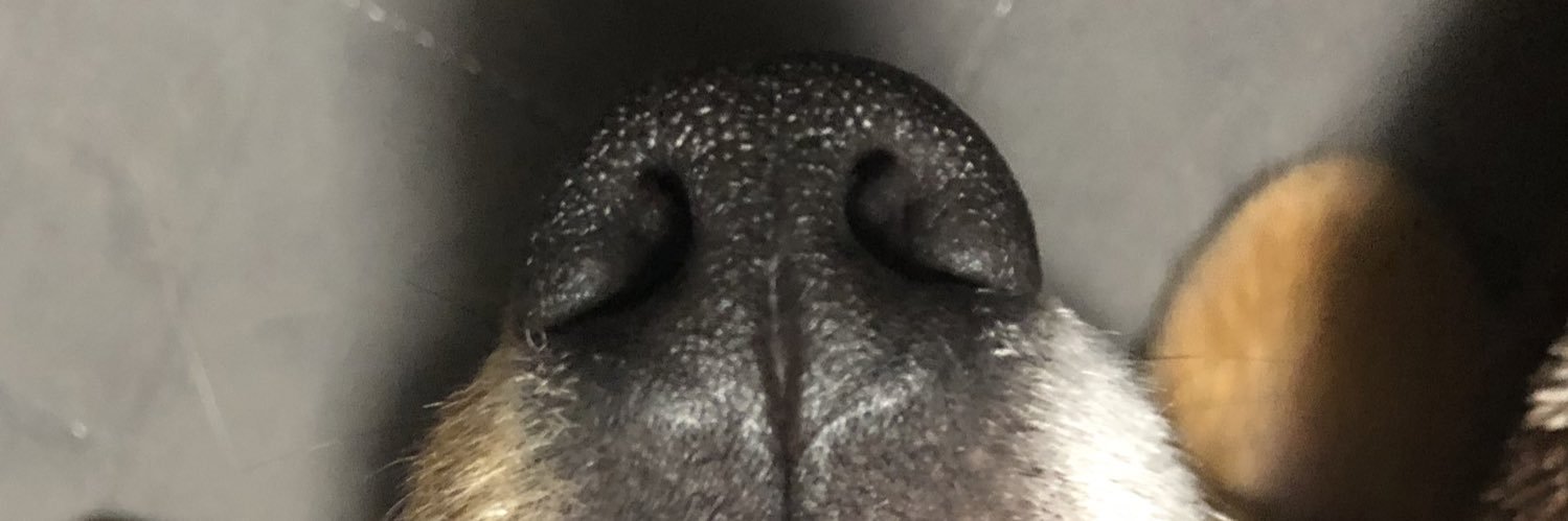 dyukib28's profile banner image
