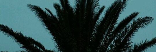 marijaxo_b's profile banner image
