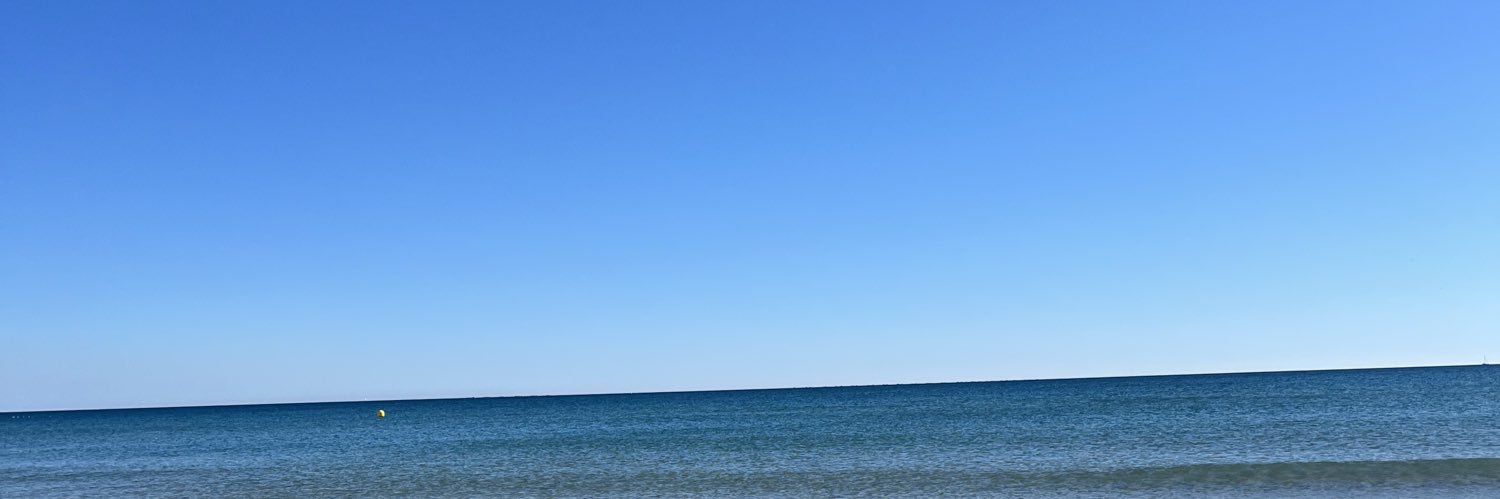 schizotony_'s profile banner image