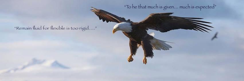 toddopalski's profile banner image