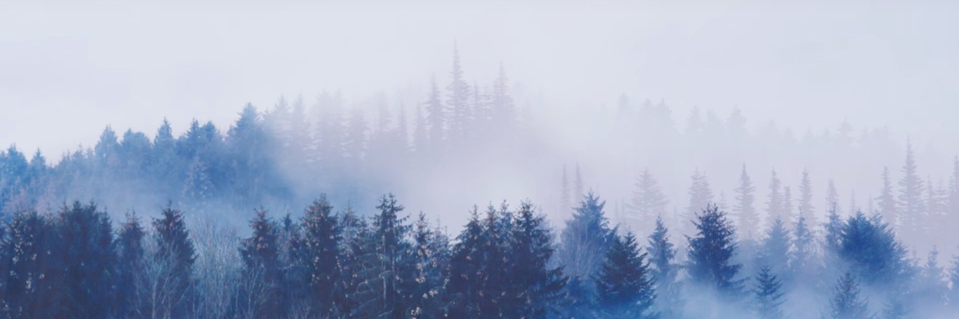_WlNGS's profile banner image