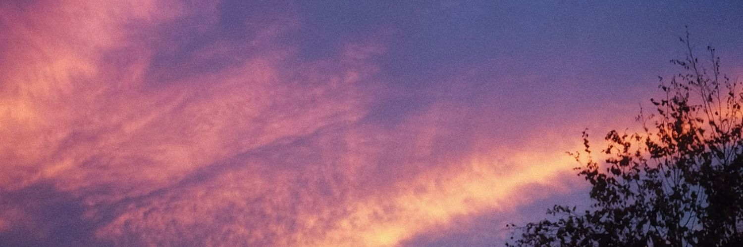 Cosurmyne banner