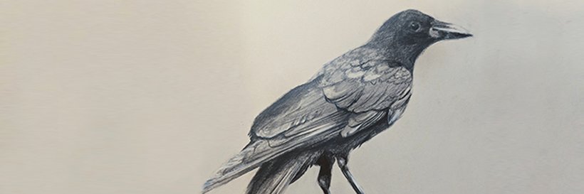 LFboba's profile banner image
