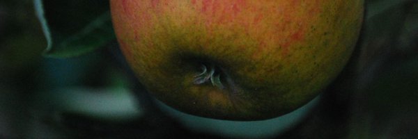 keepersnursery Profile Banner