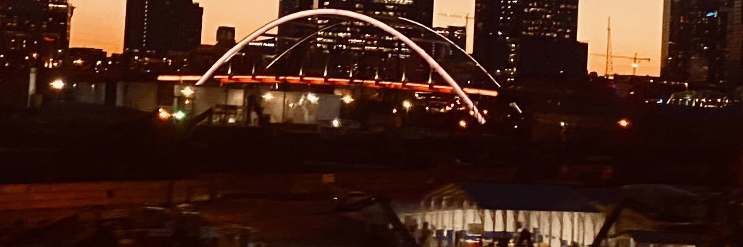 Stoned Gen Xer 🇺🇸❤️ banner