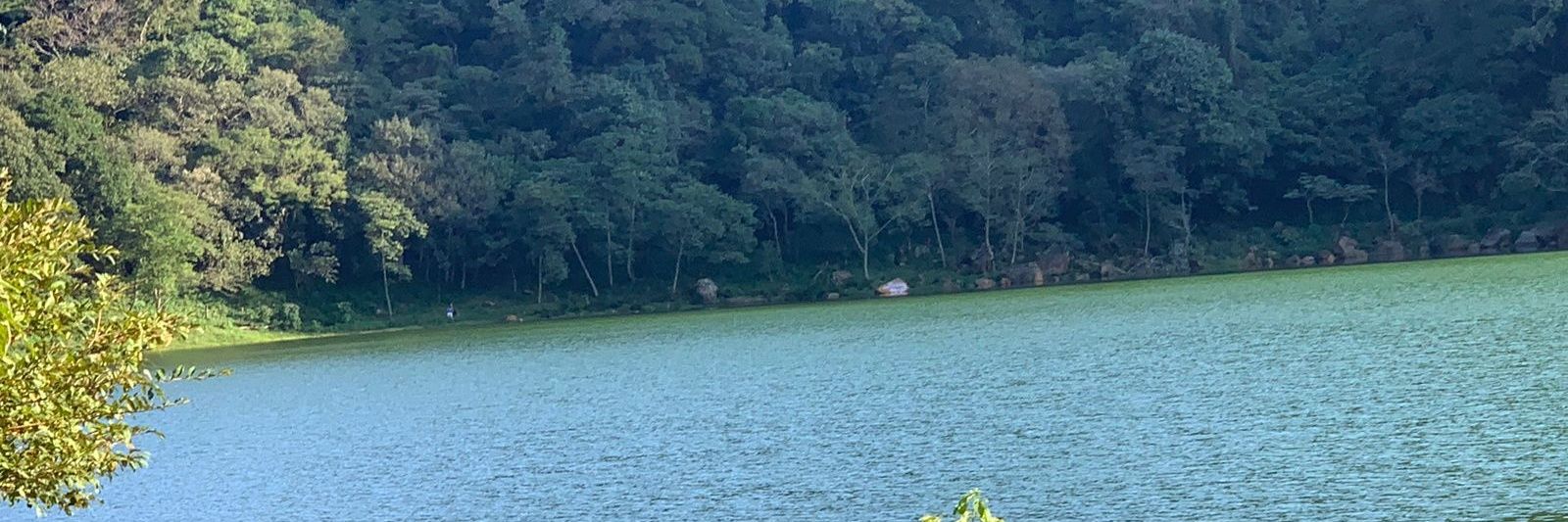 _chavezhe's profile banner image
