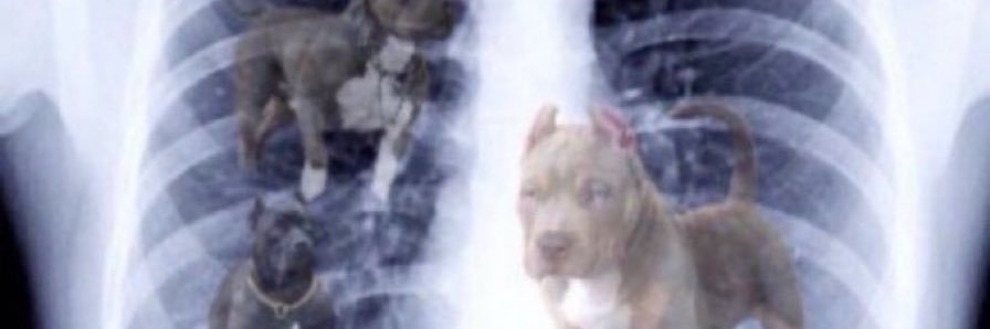 vicmarcelli's profile banner image