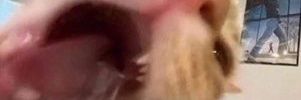 bluberytae's profile banner image