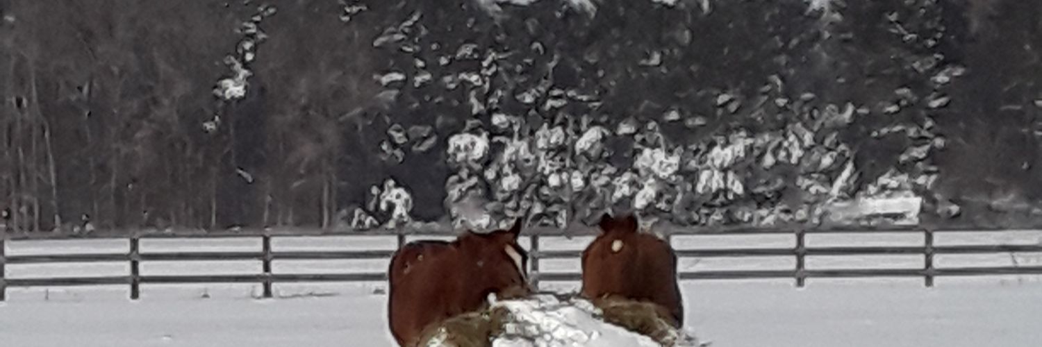 ChocChip52's profile banner image