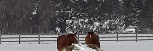 ChocChip52 Profile Banner