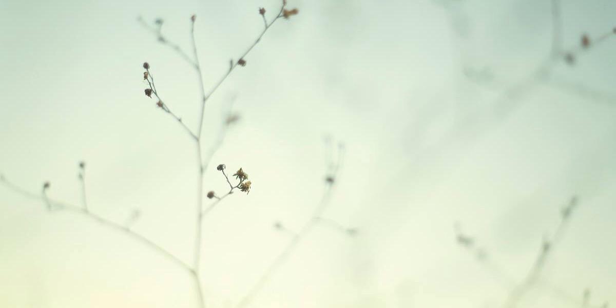 Acaxochitl20's profile banner image