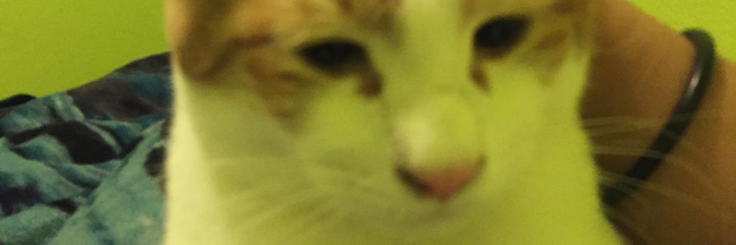 mbustix's profile banner image