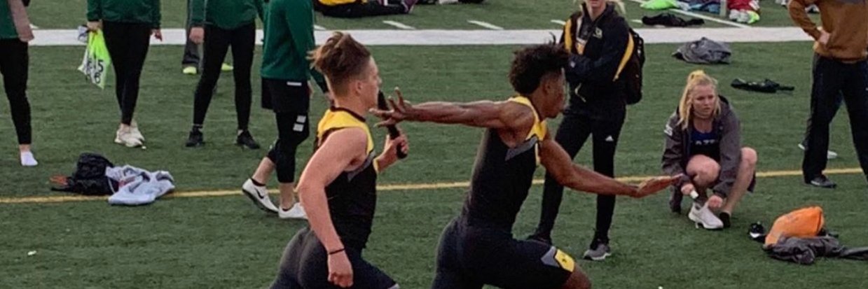 SMWTrackField's profile banner image