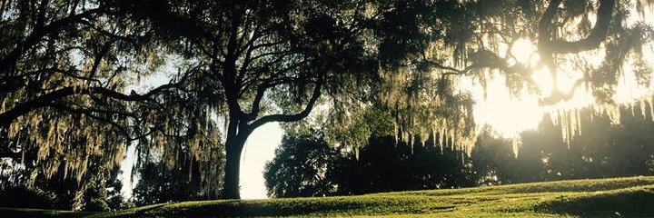 Stéphane Lauer banner