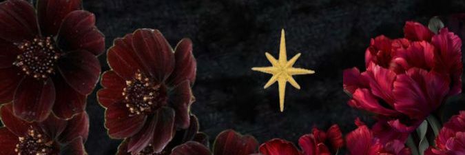 giuliav__'s profile banner image