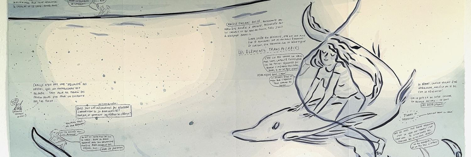 Camille Thomas-Bulle banner