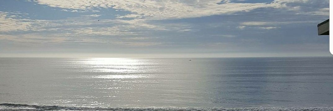 tasksgurl1's profile banner image