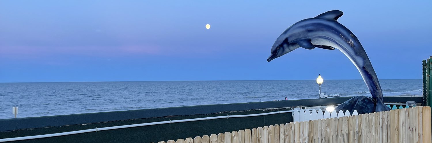 BellKala's profile banner image