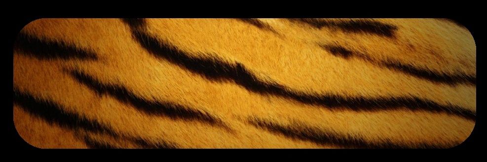 _SavageTiger's profile banner image