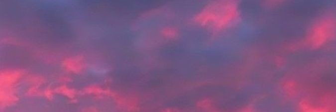 Maxywmpri's profile banner image