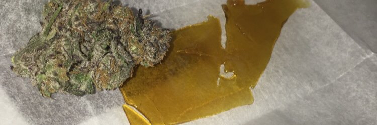 TheWeedWorldOG's profile banner image