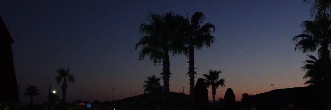 nicolexcarter's profile banner image