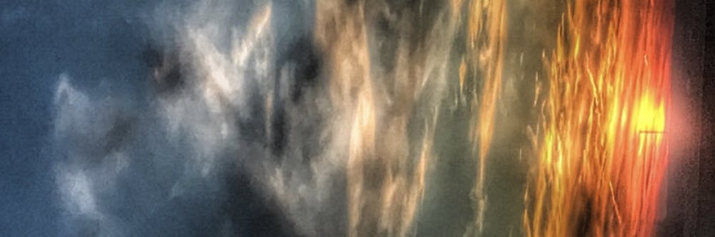 RiceDezi's profile banner image