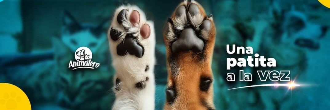 AnimaleroGdl's profile banner image
