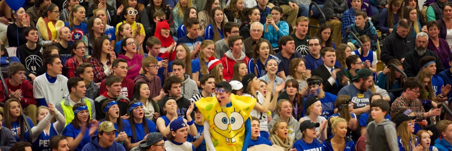 perustudent's profile banner image