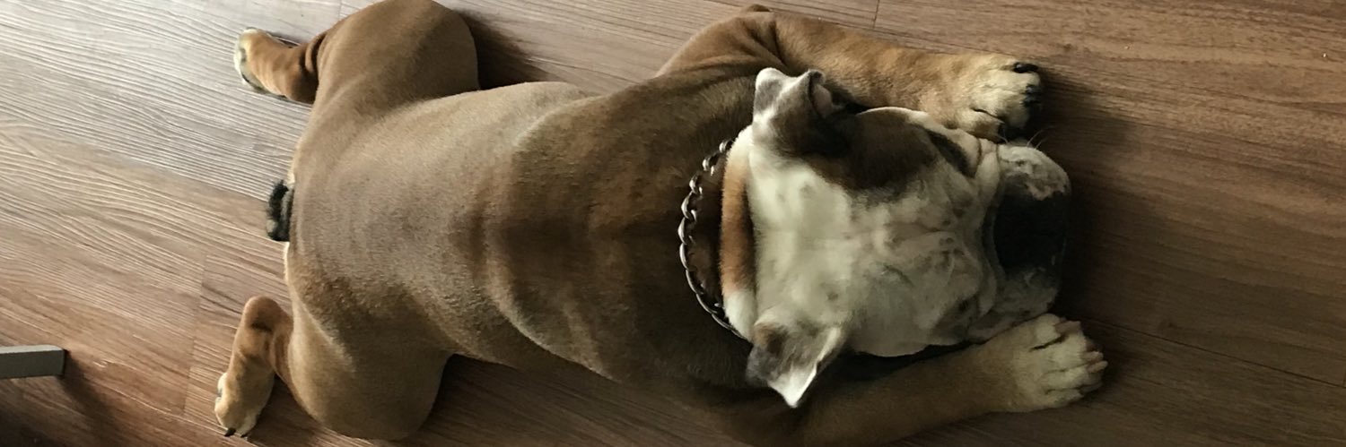 tylor_knisley's profile banner image