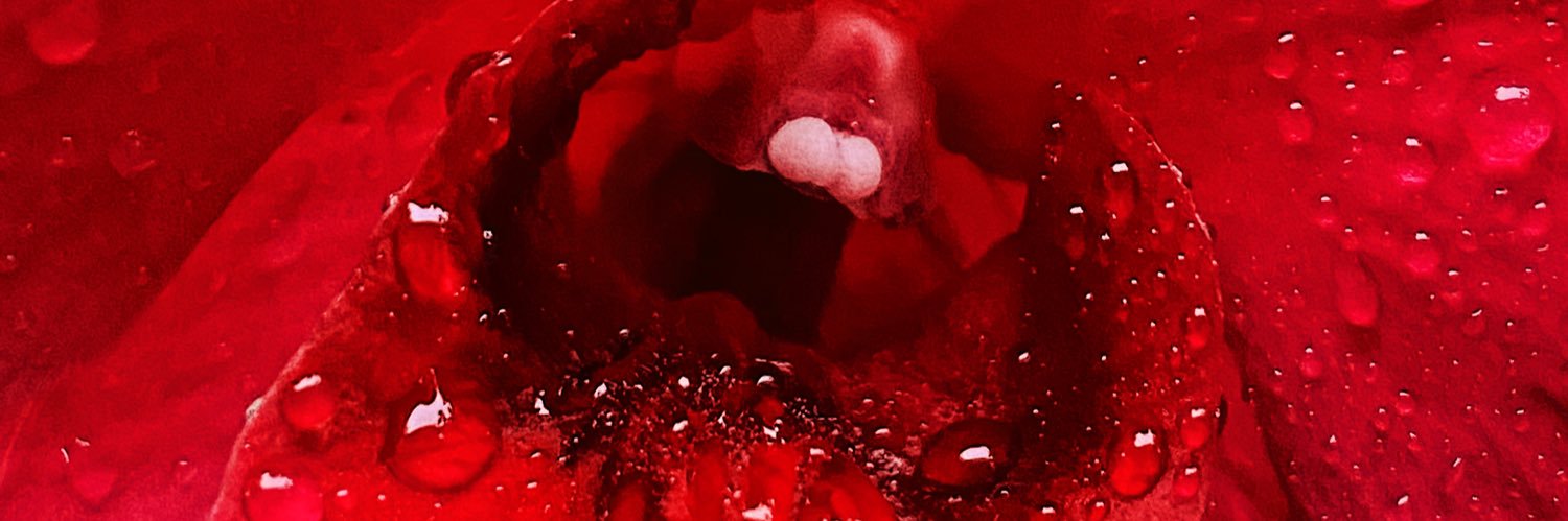 tomimod's profile banner image