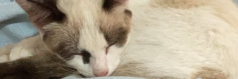 yluizamarques's profile banner image