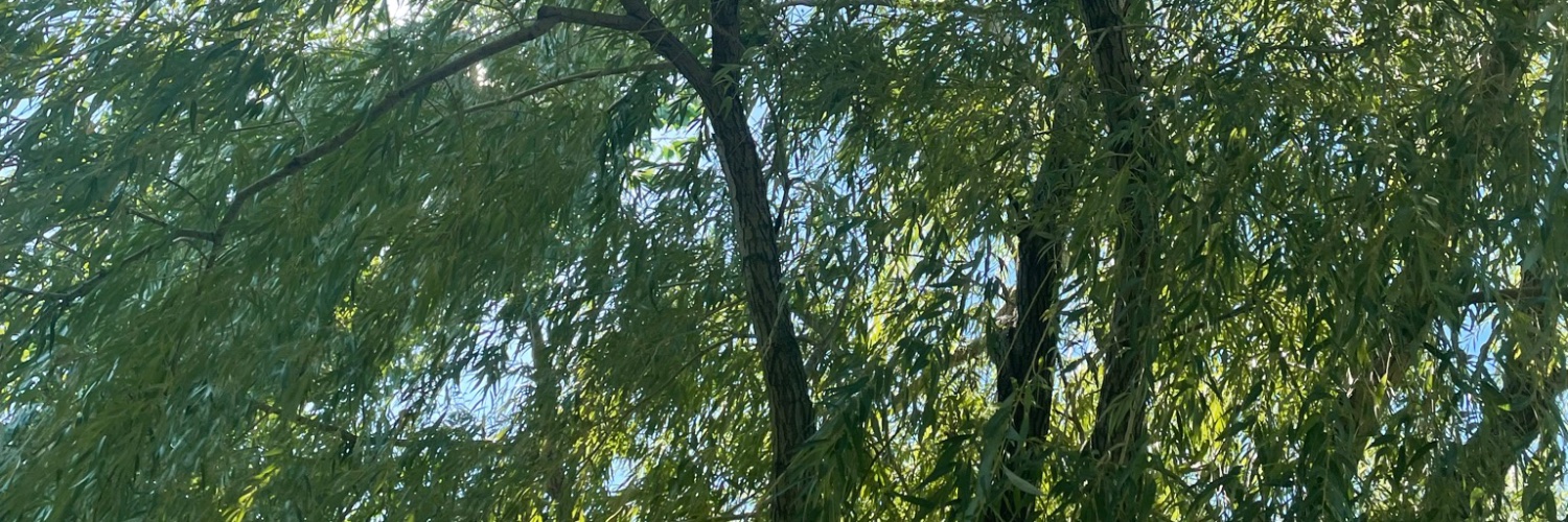 florencedelage's profile banner image